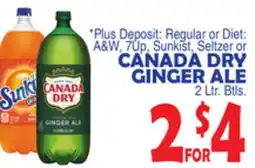 Bravo Supermarkets CANADA DRY GINGER ALE offer