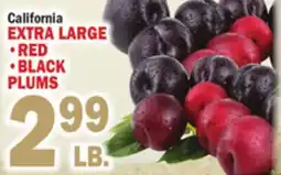 Bravo Supermarkets California EXTRA LARGE • RED • BLACK PLUMS offer