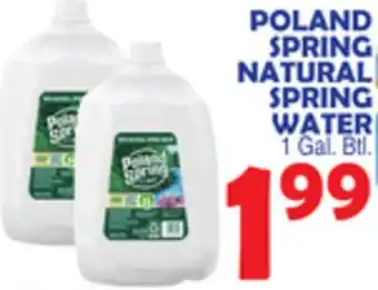Bravo Supermarkets POLAND SPRING NATURAL SPRING WATER offer