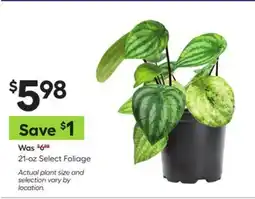 Lowe's 21-oz Select Foliage offer