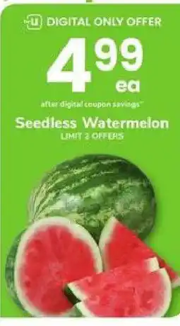 Safeway Seedless Watermelon offer