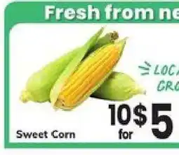 Safeway Sweet Corn offer