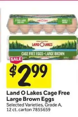 Stop&Shop Land O Lakes Cage Free Large Brown Eggs offer