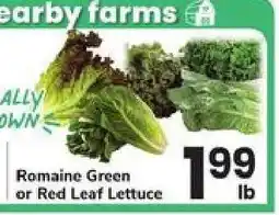 Safeway Romaine, Green or Red Leaf Lettuce offer