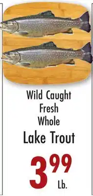 Garden Fresh Market Wild Caught Fresh Whole Lake Trout offer