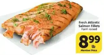 Fresh Atlantic Salmon Fillets