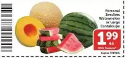 Vons Personal Seedless Watermelon or Large Cantaloupe offer