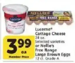 Vons Lucerne Cottage Cheese or Nellie's Free Range Eggs offer