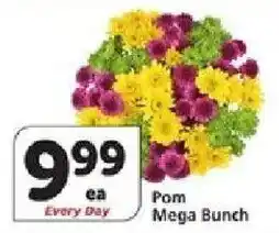 Vons Pom Mega Bunch offer