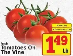 Fine Fare Fresh Tomatoes On The Vine offer