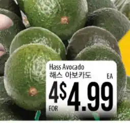Hmart Hass Avocado offer