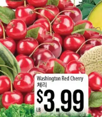 Washington Red Cherry