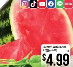 Hmart Seedless Watermelon offer