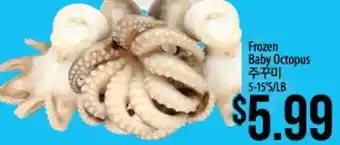 Hmart Frozen Baby Octopus offer
