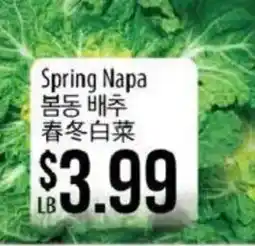 Hmart Spring Napa offer