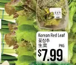 Hmart Korean Red Leaf offer
