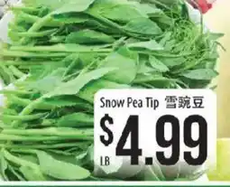 Hmart Snow Pea Tip offer