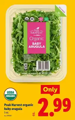 Lidl Peak Harvest organic baby arugula offer