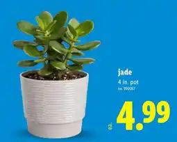 Lidl Jade offer