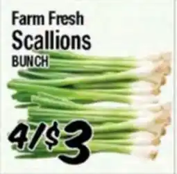 Western Beef Farm Fresh Scallions offer