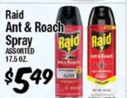 Western Beef Raid Ant & Roach Spray offer
