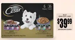 Jetro Cesar offer