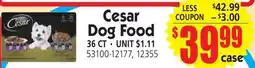 Jetro Cesar Dog Food offer