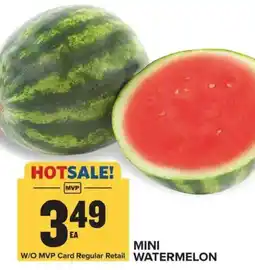 Food Lion MVP Mini Watermelon offer