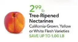 Publix Tree-Ripened Nectarines offer