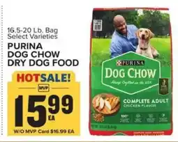 Food Lion Purina dog chow dry dog food offer