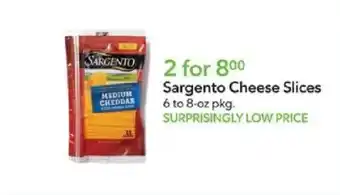 Publix Sargento cheese slices offer