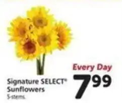 Vons Signature SELECT Sunflowers offer