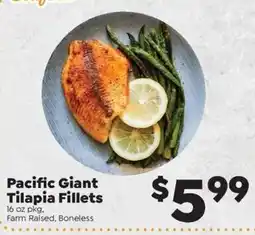 Sentry Pacific Giant Tilapia Fillets offer