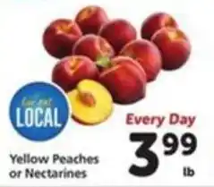 Vons Yellow Peaches or Nectarines offer
