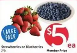 Vons Strawberries or Blueberries offer