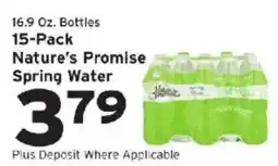 Hannaford Nature's Promise spring water offer