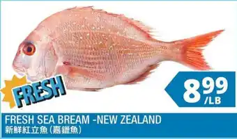 Fresh Sea Bream - New Zealand