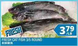 99 Ranch Fresh Cat Fish 3/5 Round offer