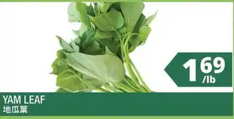 99 Ranch Yam Leaf offer