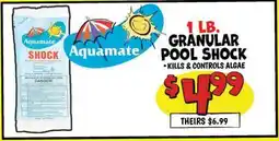 Ollie's AQUAMATE 1 LB. GRANULAR POOL SHOCK offer