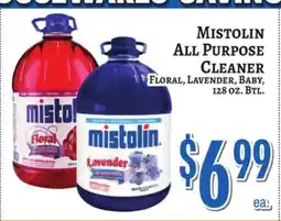 Trade Fair Supermarket MISTOLIN ALL PURPOSE CLEANER offer