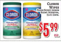 Trade Fair Supermarket CLOROX WIPES offer