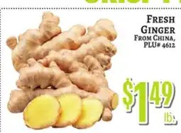 Trade Fair Supermarket FRESH GINGER offer