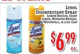 Trade Fair Supermarket LYSOL DISINFECTANT SPRAY offer