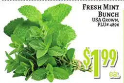 Trade Fair Supermarket FRESH MINT BUNCH offer
