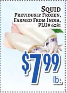 Trade Fair Supermarket SQUID offer