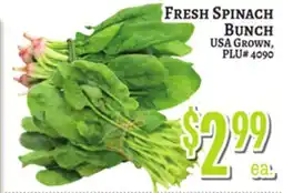 Trade Fair Supermarket FRESH SPINACH BUNCH offer