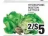 Associated Hydroponic Boston Lettuce offer