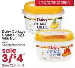 Giant Eagle Daisy cottage cheese cups with fruit offer