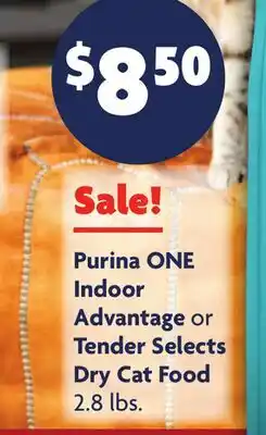 Family Dollar Purina ONE Indoor Advantage or Tender Selects Dry Cat Food offer